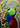 Abstraktes Porträt eines Mannes mit Sombrero in kräftigen Farben. Symbolischer Hüter der Farben von Künstler Di Martino – spirituell, geheimnisvoll, ausdrucksstark.