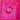 Abstrakte Kunst „Dahlie“ von Giuseppe Di Martino: Acrylgemälde in kräftigem Pink, in Spachteltechnik mit strukturierten Schichtungen.