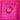 Abstrakte Kunst „Dahlie“ von Giuseppe Di Martino: Acrylgemälde in kräftigem Pink, in Spachteltechnik mit strukturierten Schichtungen.